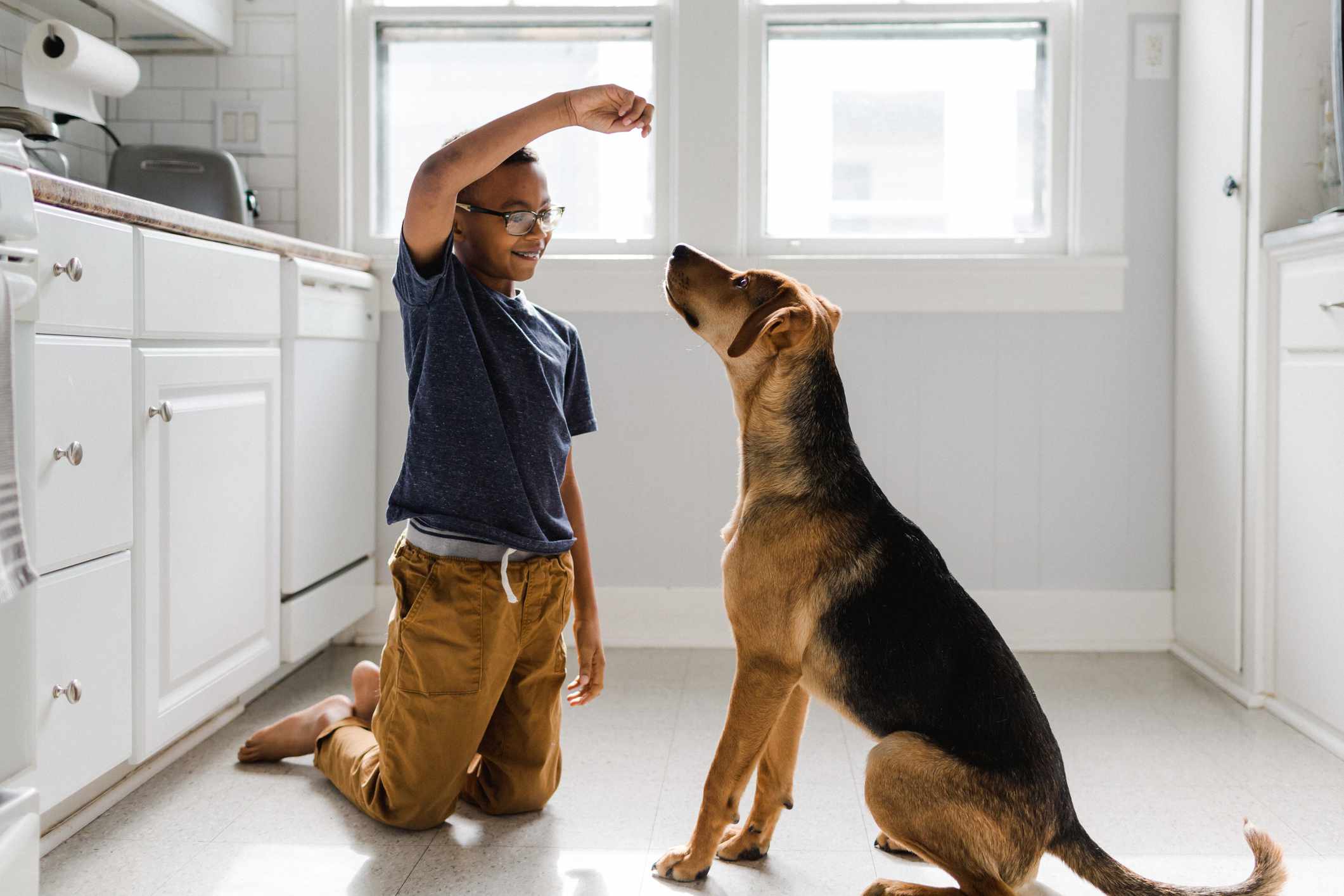 Chlapec se svým psem pracuje na tréninku s pamlskem v jasně osvětlené kuchyni