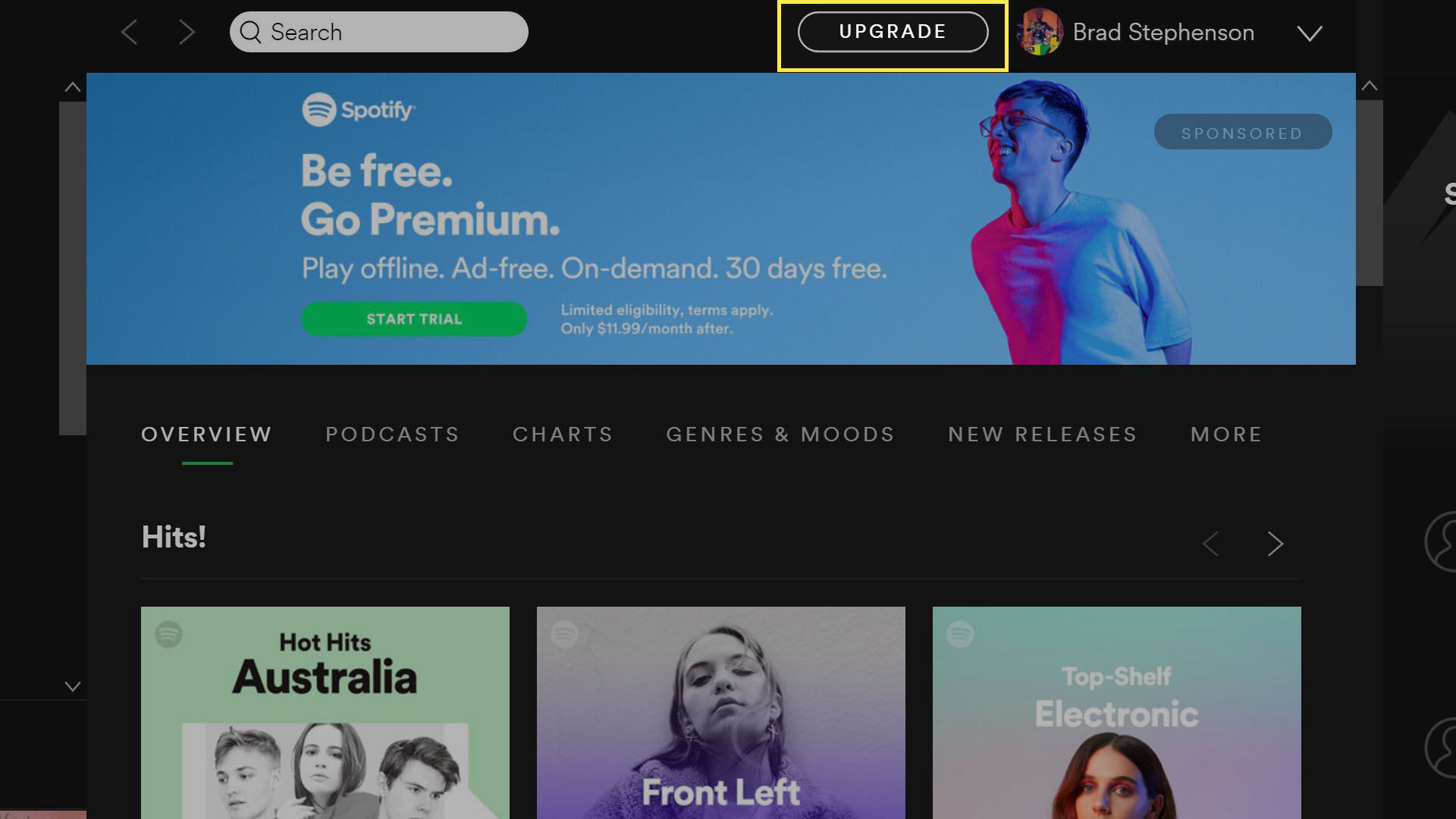 Tlačítko upgradu Spotify Premium v ​​aplikaci Spotify pro Windows 10