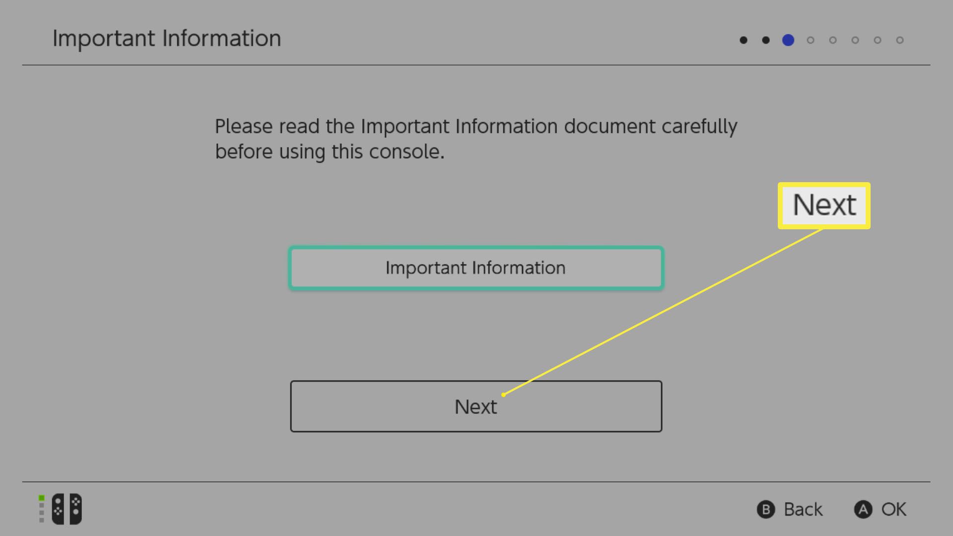 Obrazovka Nintendo Switch Setup s zvýrazněným Next pod důležitými informacemi