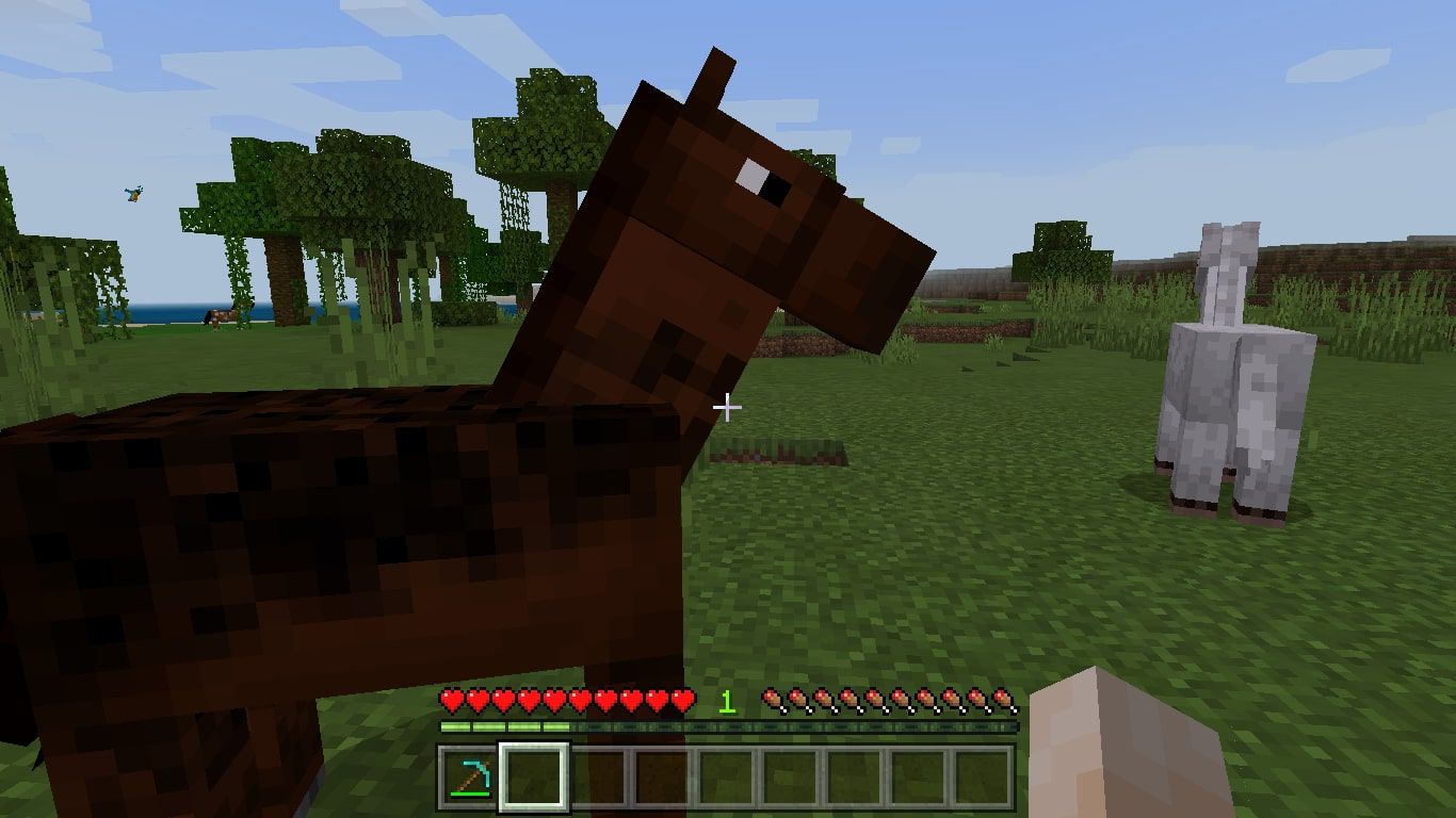 Koně v Minecraftu