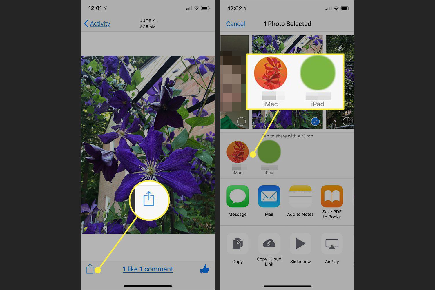 Screenshoty iPhonu se zvýrazněným tlačítkem Sdílet a zařízení přístupná AirDrop