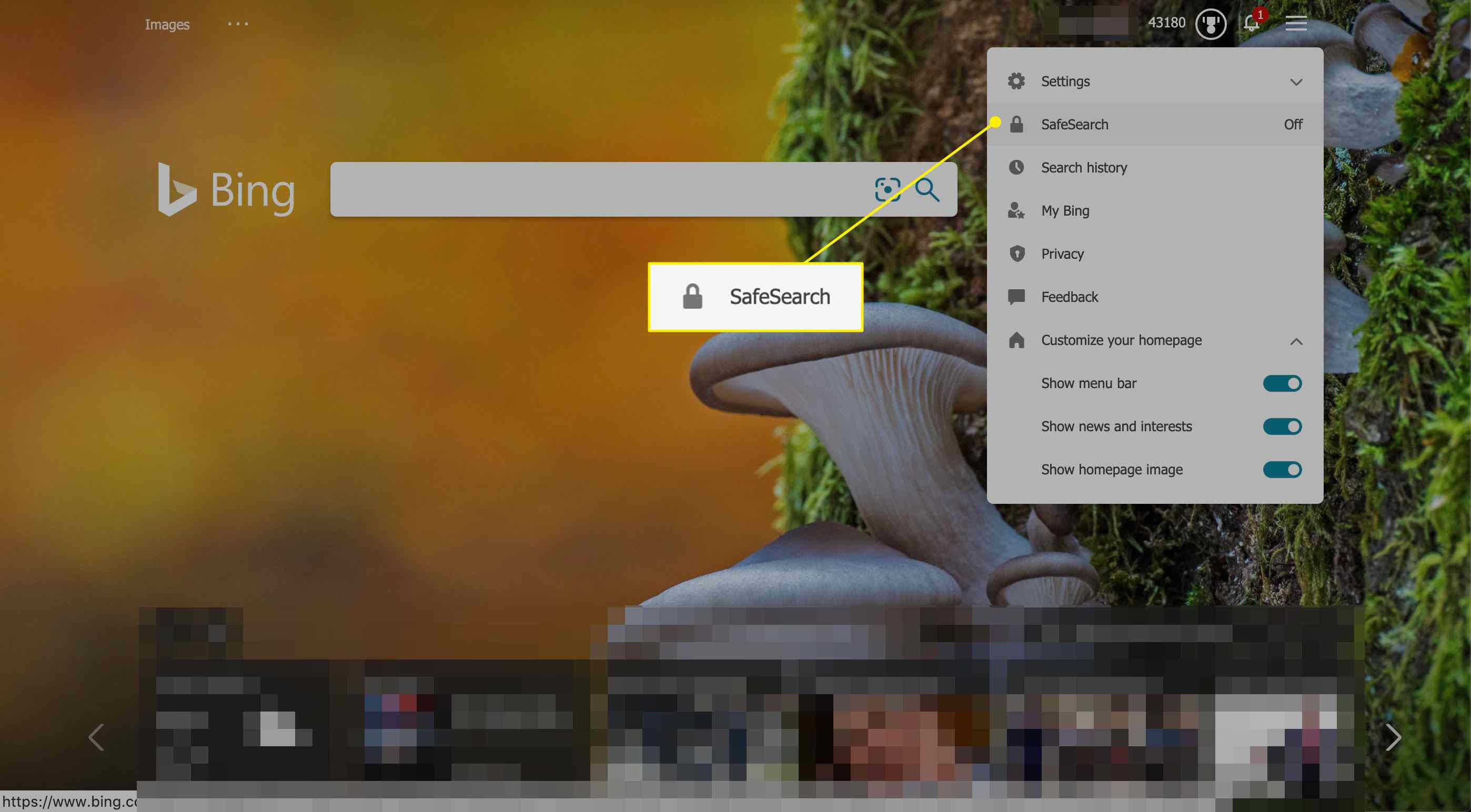 Bezpečné vyhledávání v nabídce Bing's More