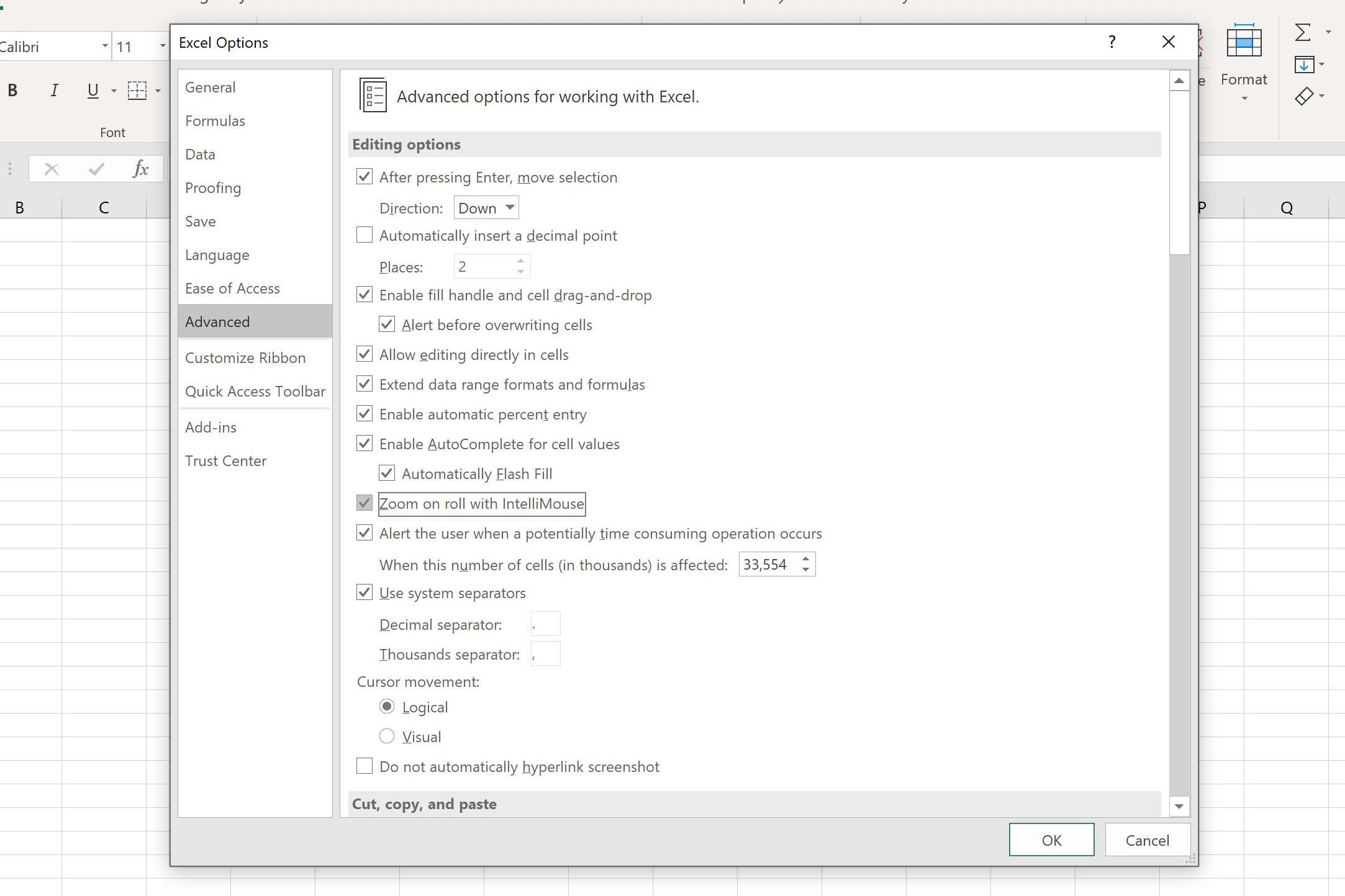 Screenshot aplikace Excel zobrazující možnost IntelliMouse