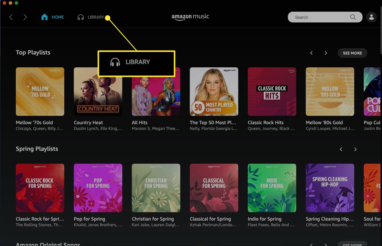 Webová aplikace Amazon Music se zvýrazněnou knihovnou