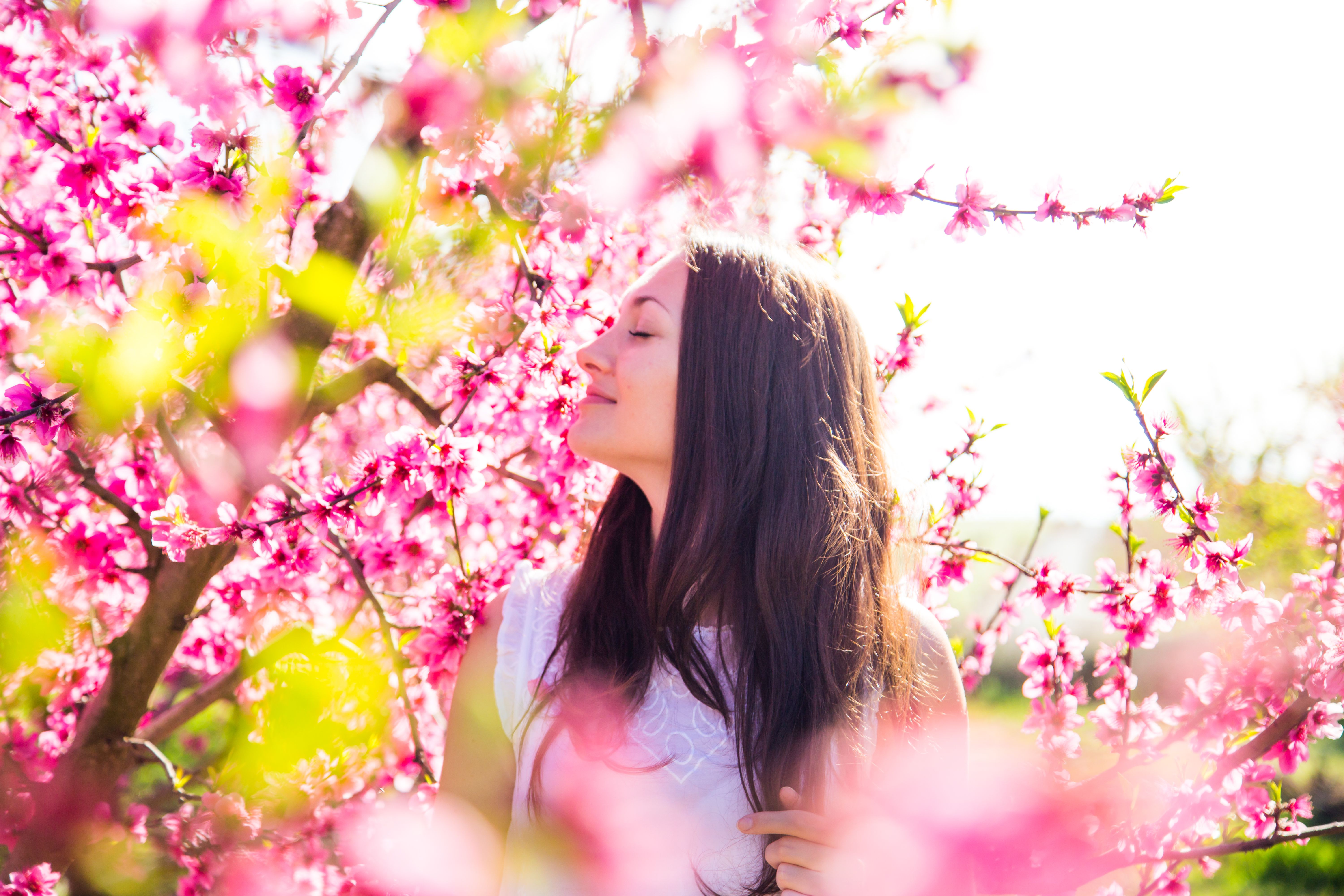 Žena vonící růžové květy na stromě