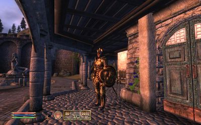 Hlídka stojící přede dveřmi v The Elder Scrolls: Oblivion