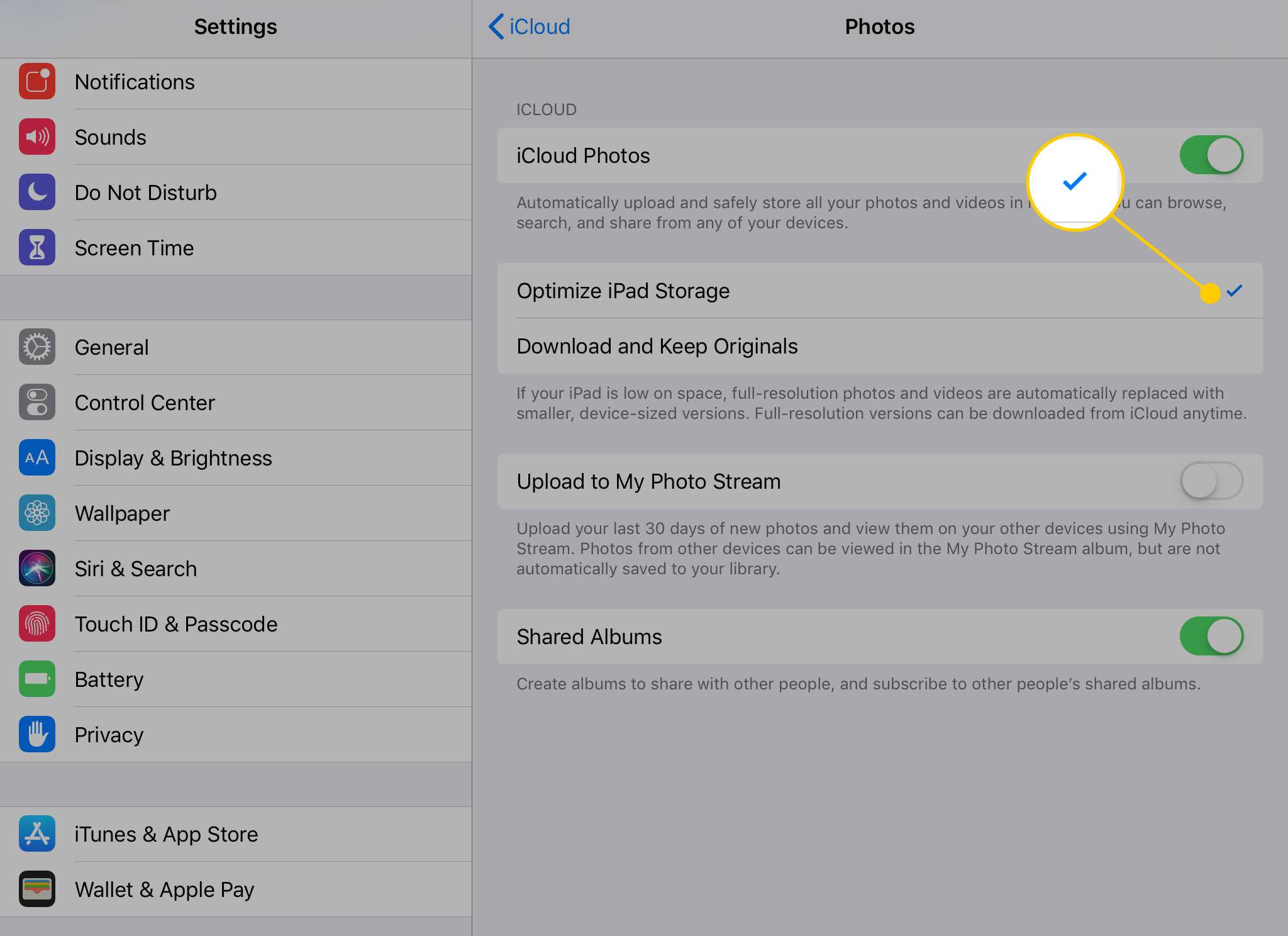 Sekce Fotky v nastavení iCloudu se zvýrazněnou kontrolou vedle Optimalizace úložiště iPad