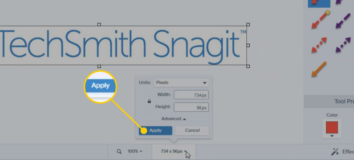 Snagit se zvýrazněným tlačítkem Použít