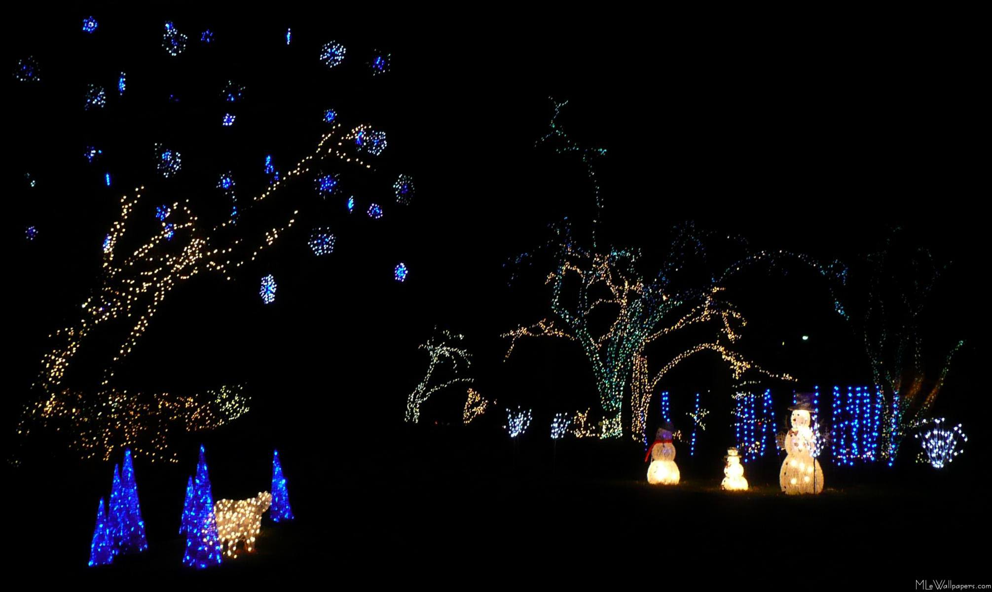Tapeta Winter Wonderland in Lights
