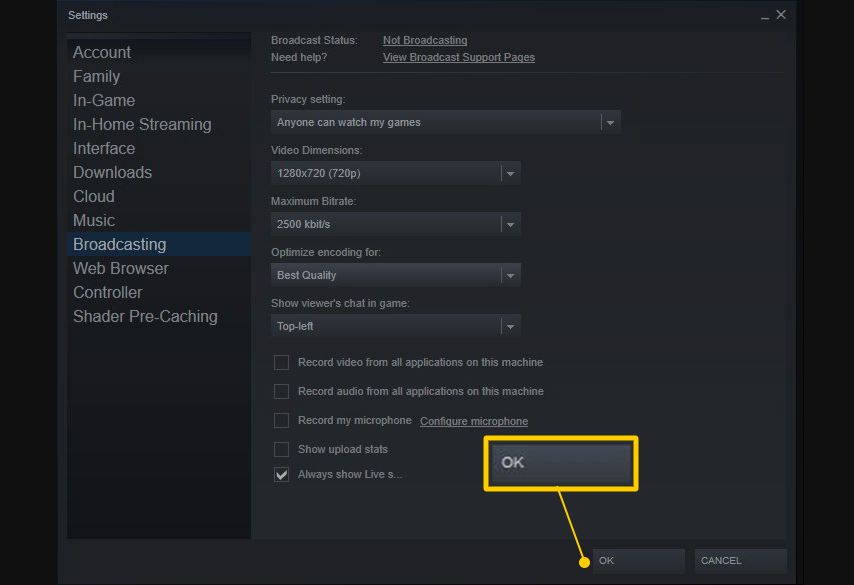 Tlačítko OK v nastavení Broadcasting ve službě Steam