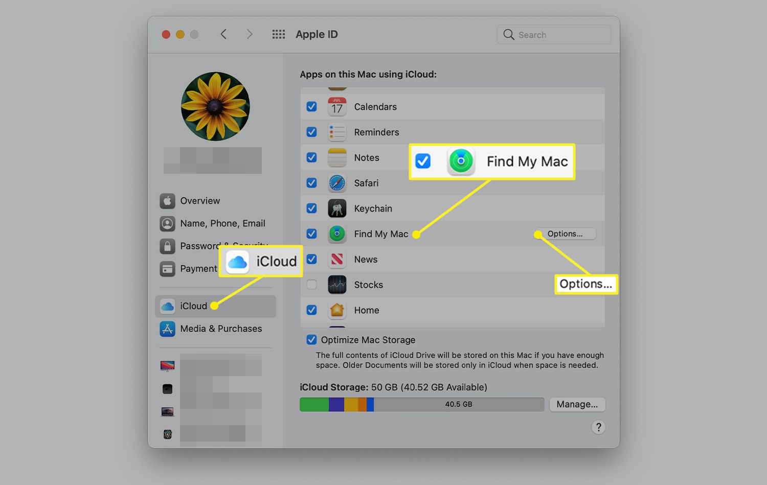 Předvolby Apple ID iCloud zobrazující Find My Mac