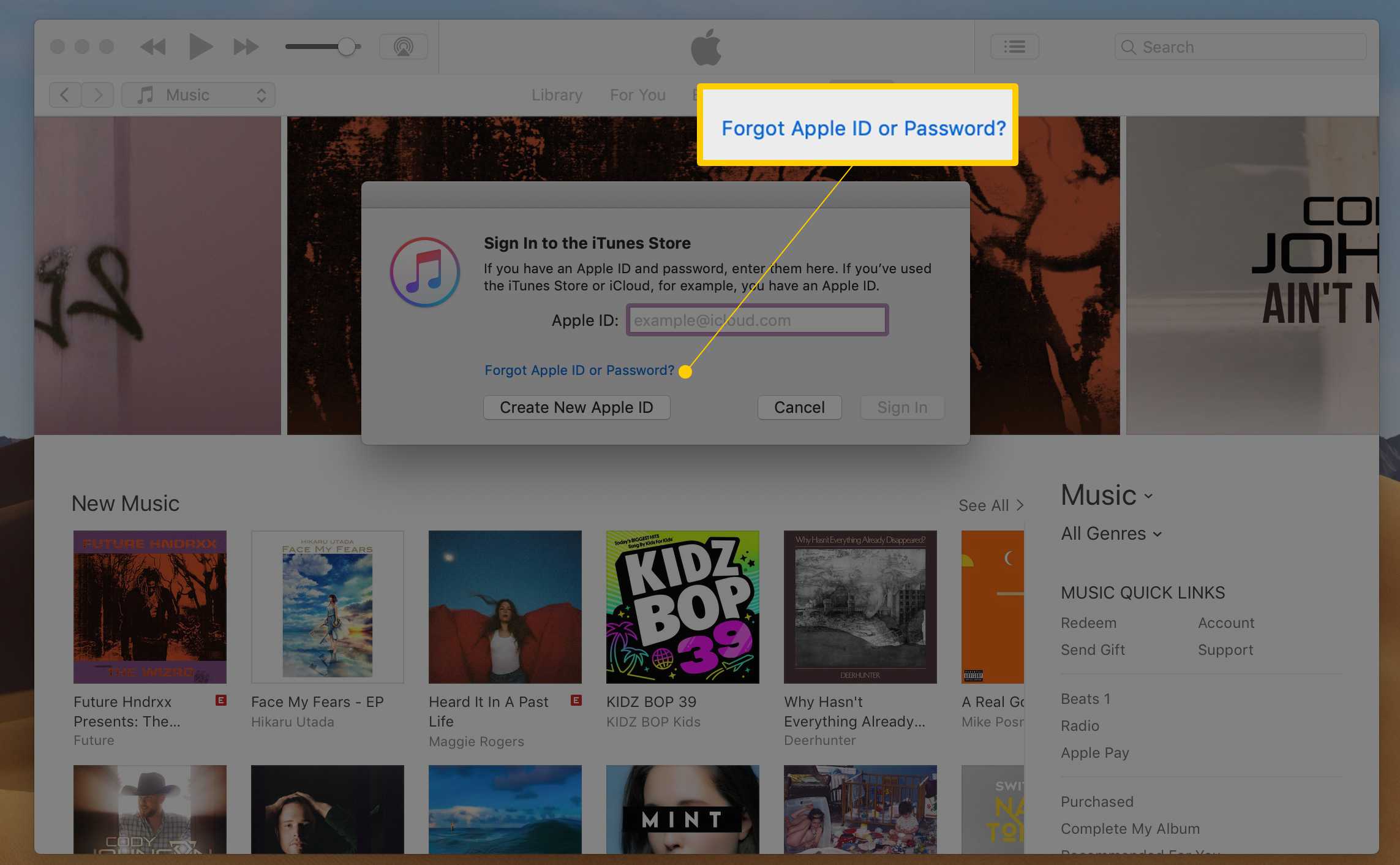 Zapomněli jste Apple ID nebo heslo?  odkaz v iTunes na macOS