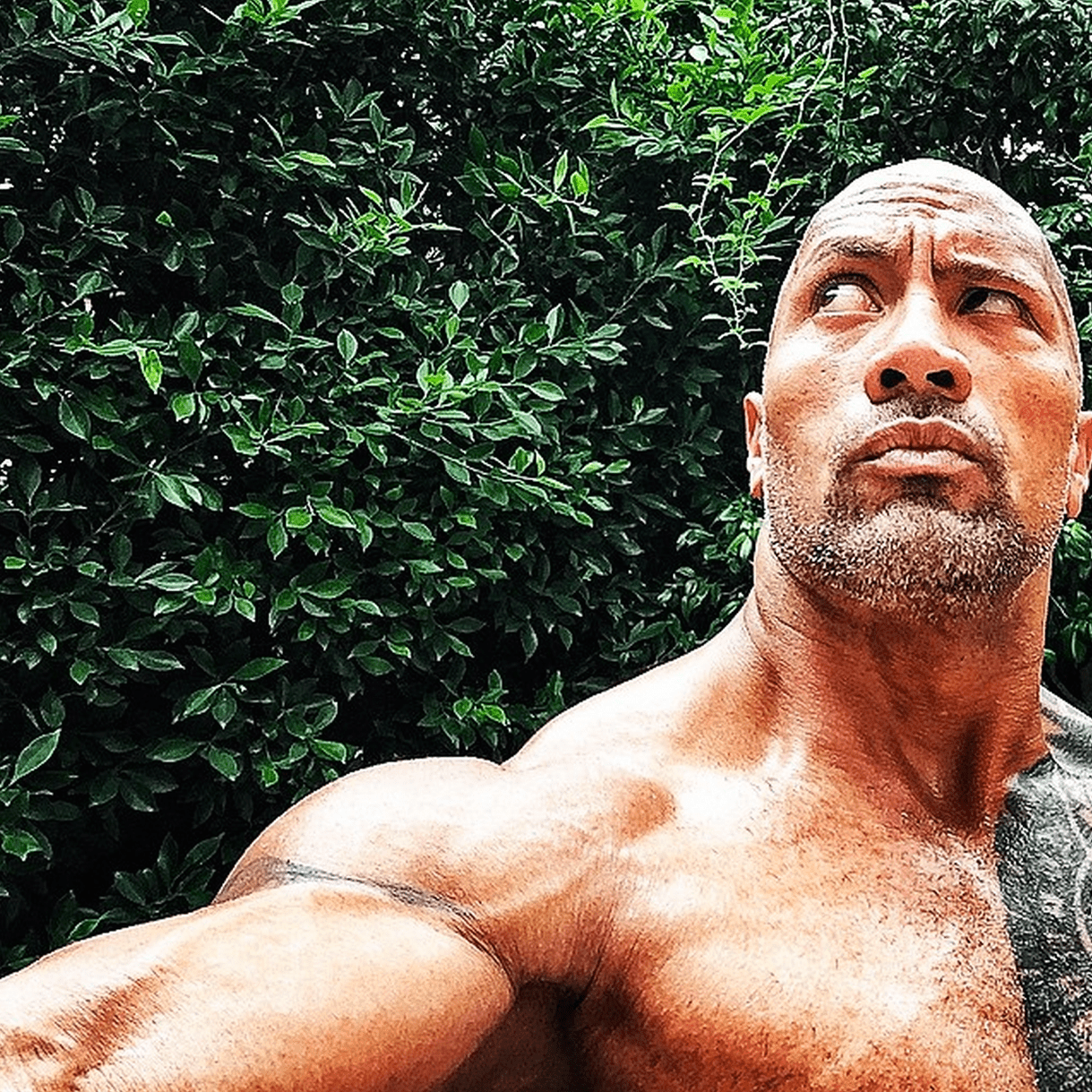 Dwayne Johnson