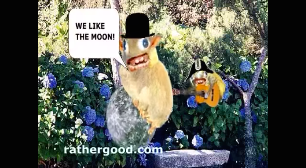 Screenshot z We Like The Moon