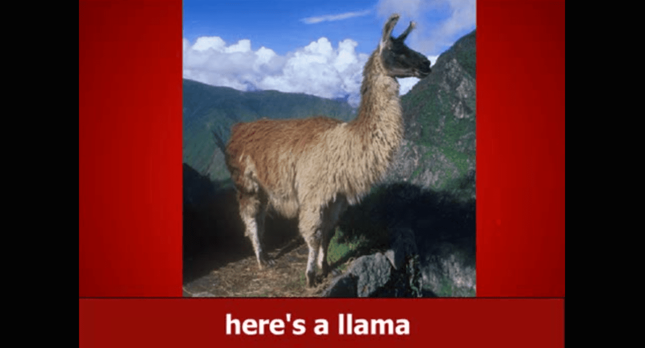 Screenshot z Llama Song