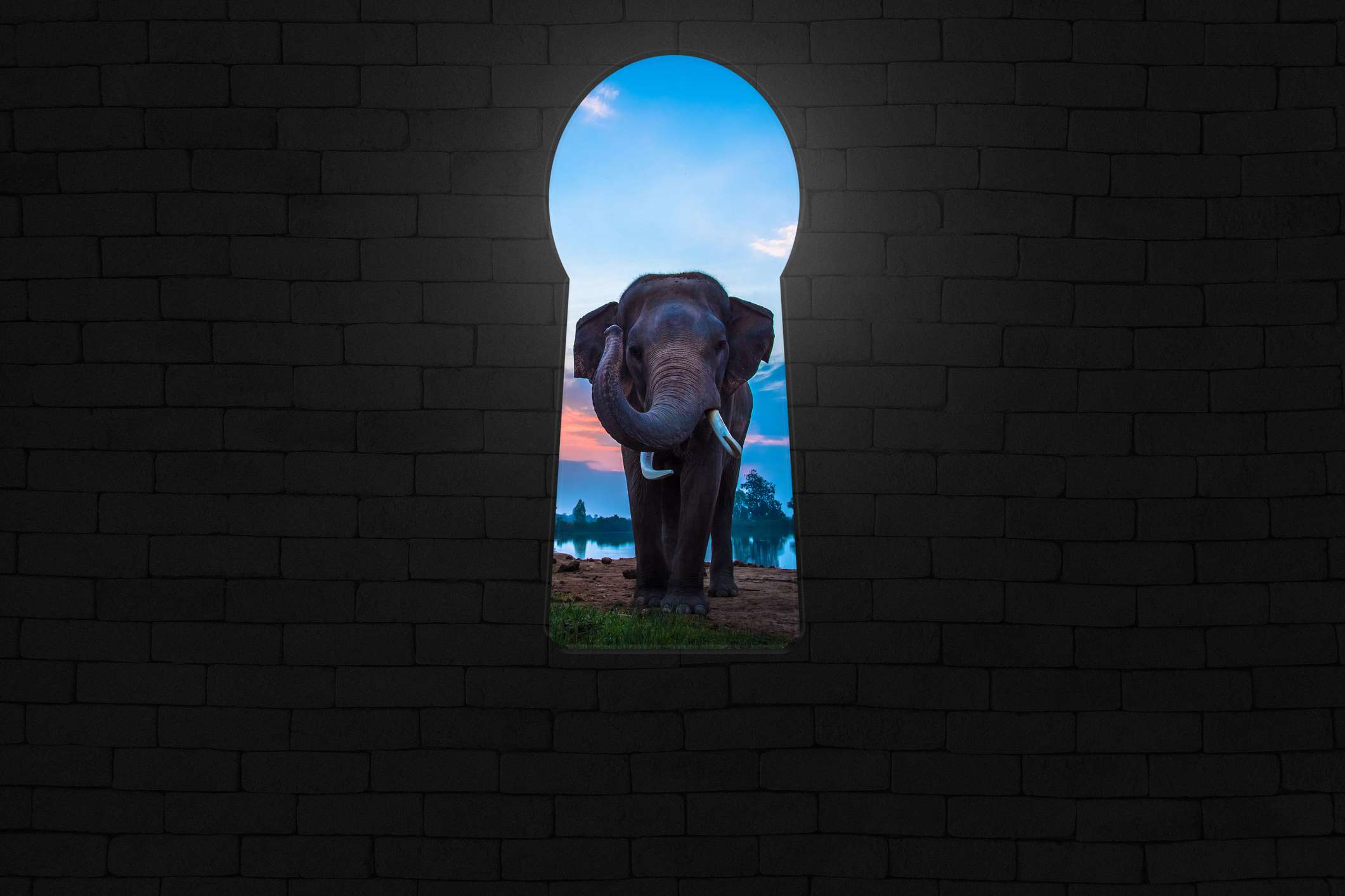 Slon je viděn skrz otvor ve tvaru klíčové dírky v cihlové zdi
