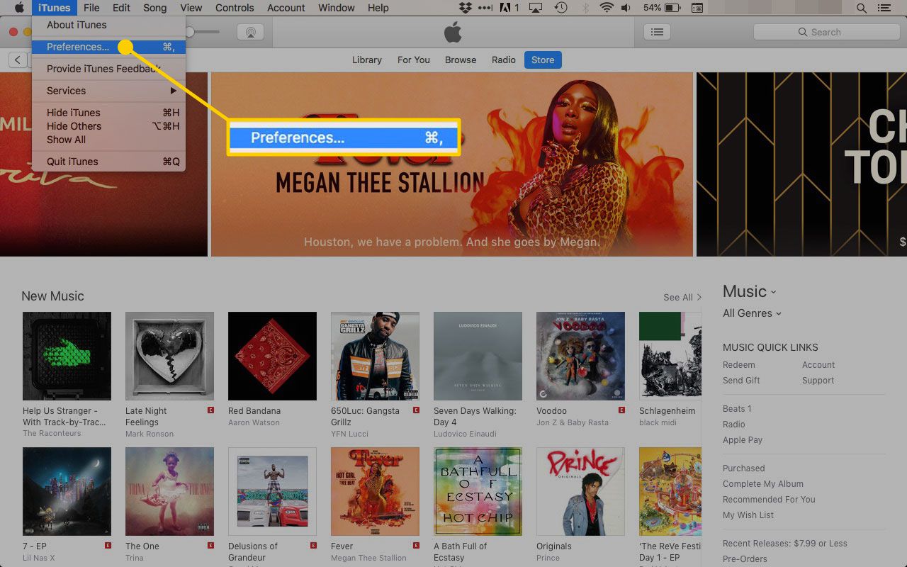 Nabídka Předvolby v iTunes - snímek obrazovky