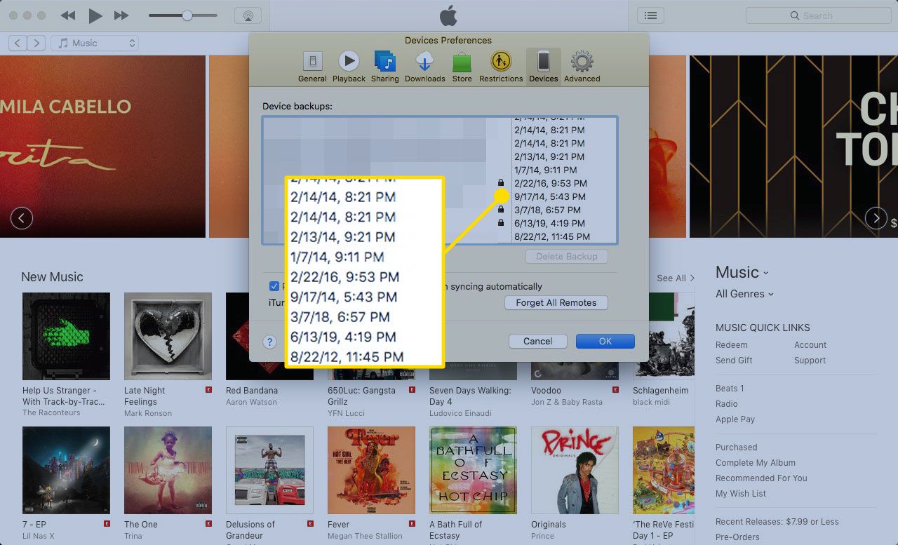 Seznam záloh zařízení v iTunes - snímek obrazovky