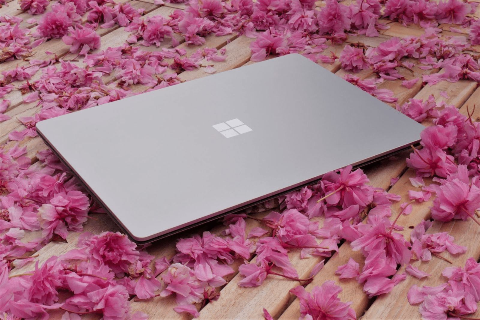 Surface Laptop 4 uzavřen na květinové posteli