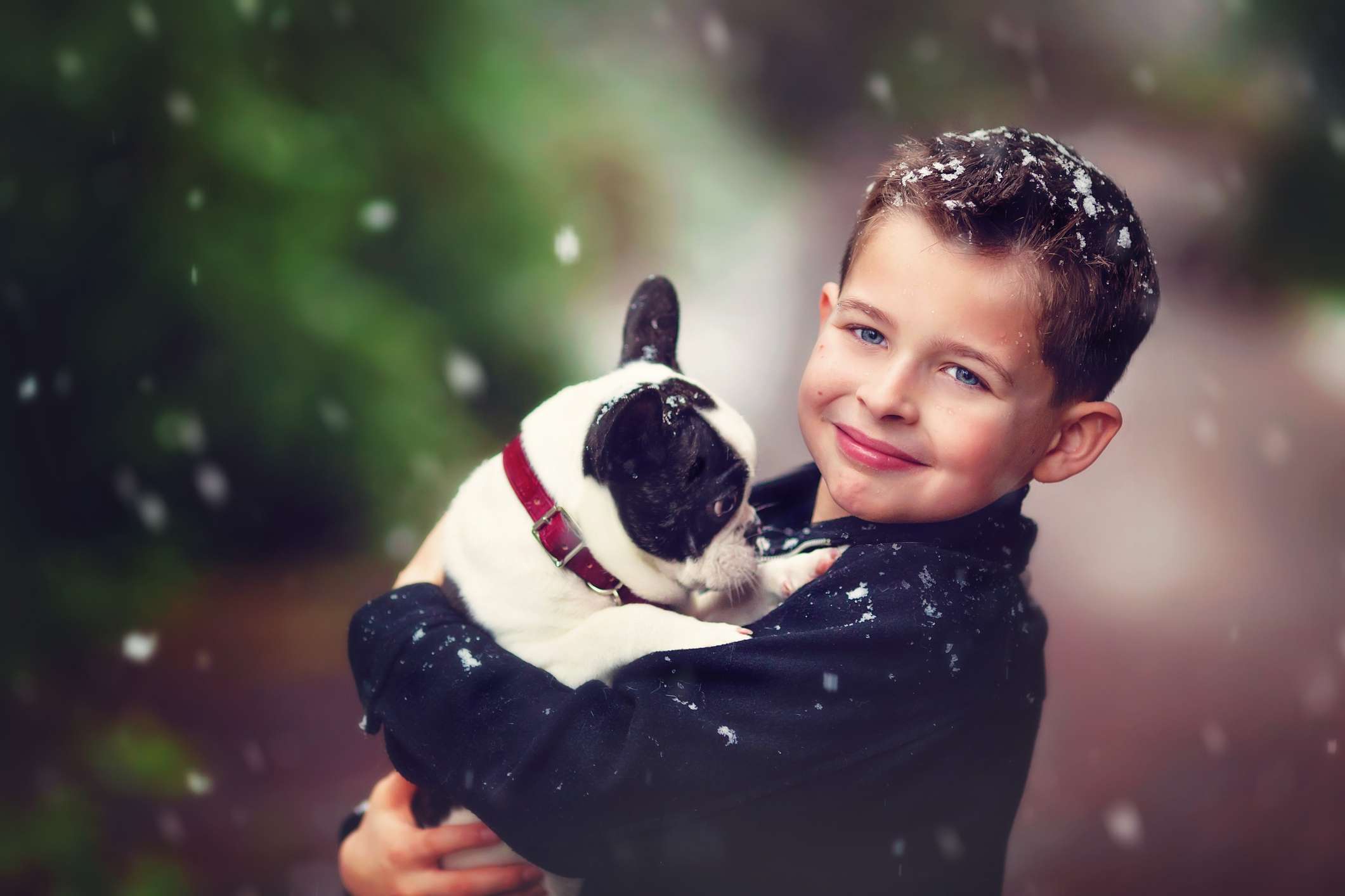 Mladý chlapec s jeho francouzský buldok štěně ve sněhu