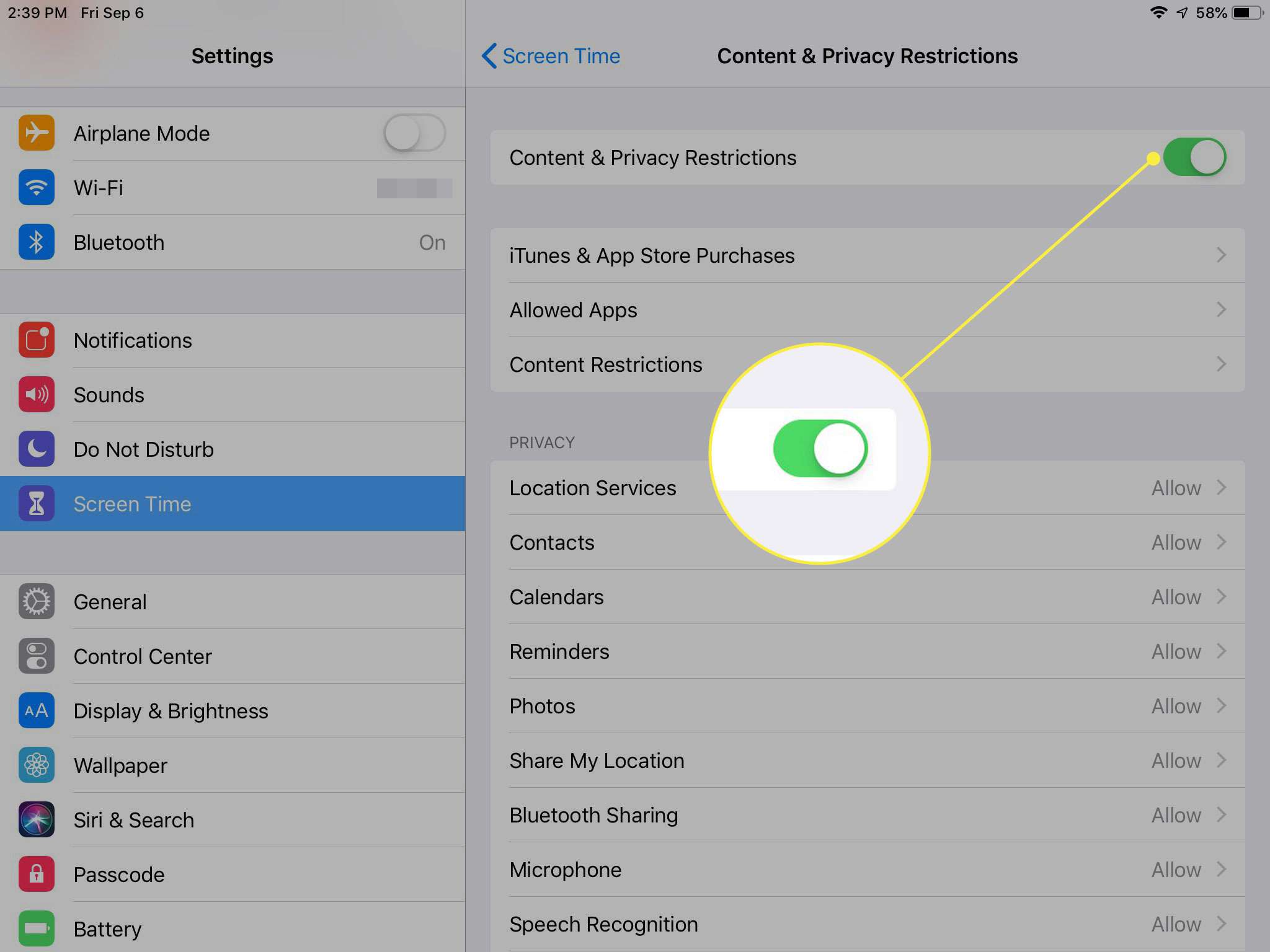 Snímek obrazovky s omezením obsahu a soukromí na iPadu se zvýrazněným přepínačem