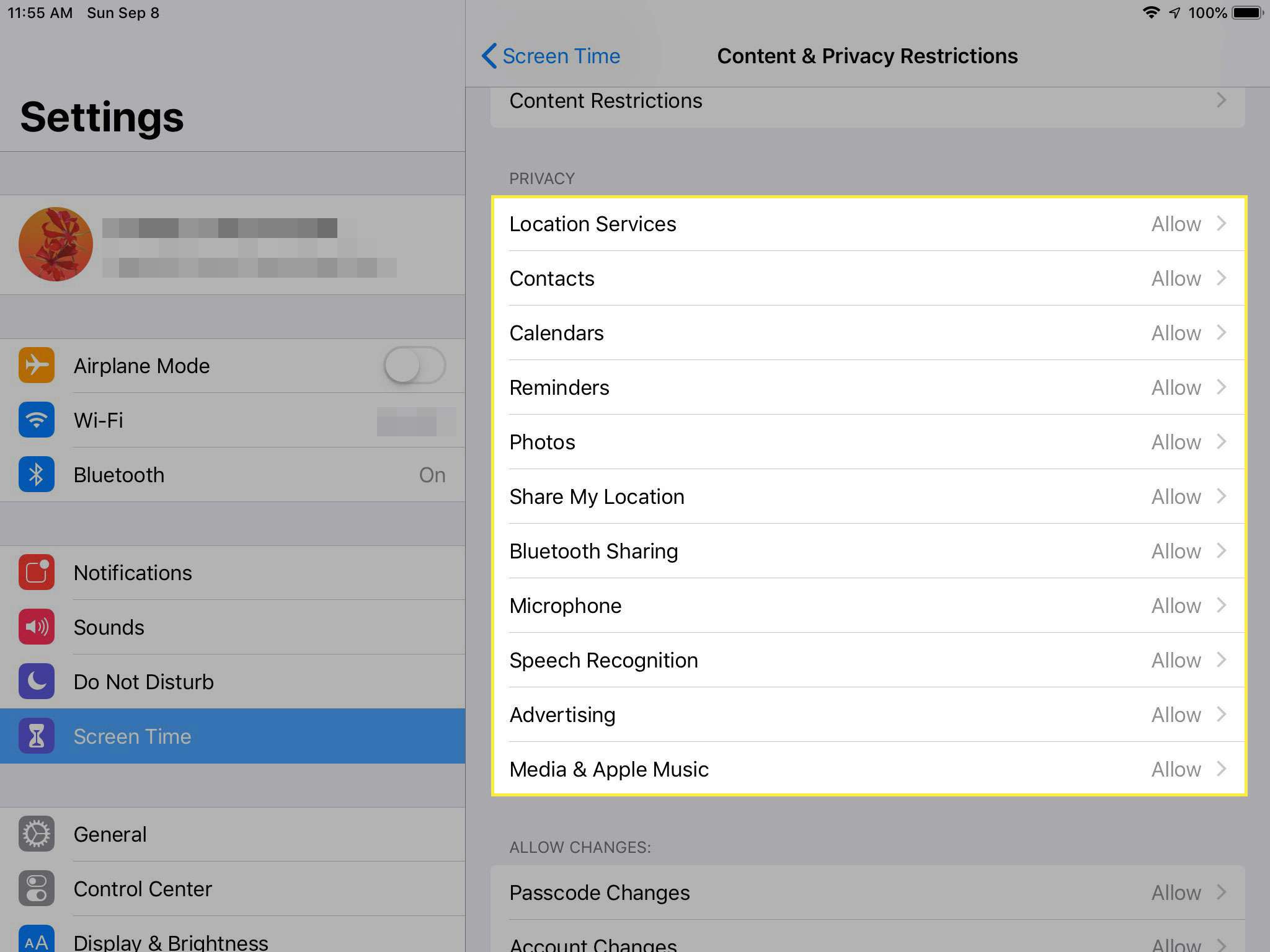 Snímek obrazovky s omezením obsahu a soukromí na iPadu se zvýrazněnou částí Ochrana osobních údajů