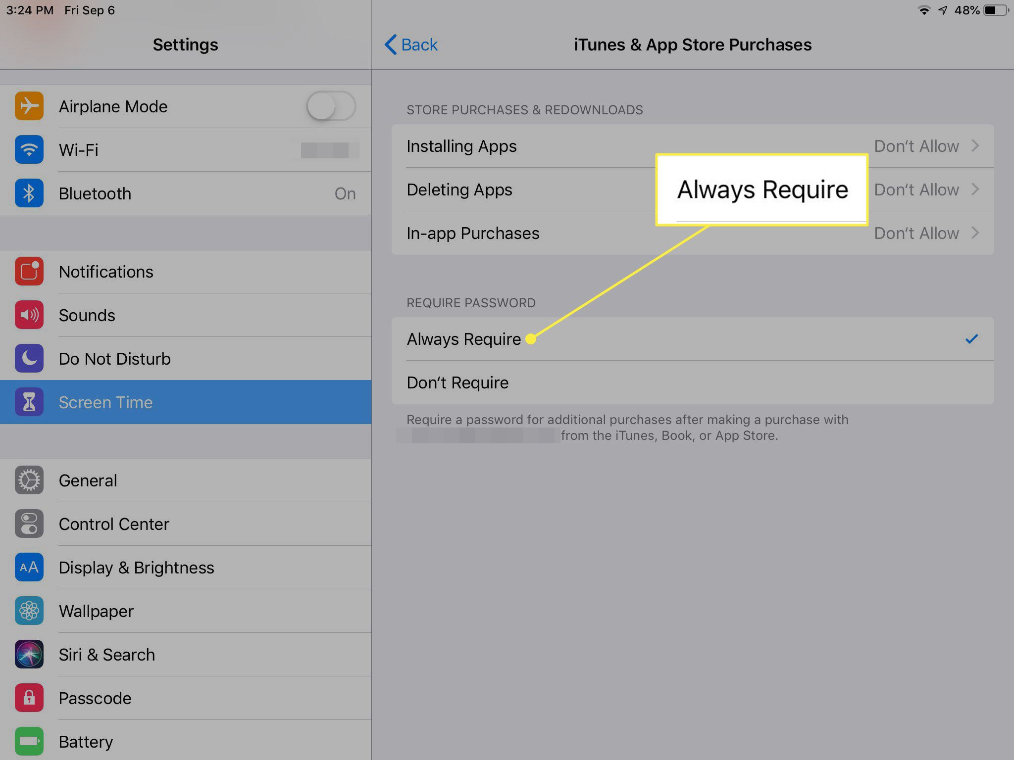 Snímek obrazovky s nastavením nákupů iTunes a App Store na iPadu se zvýrazněnou možností Vždy vyžadovat