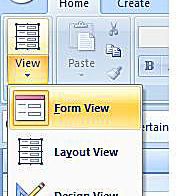 Screenshot aplikace Microsoft Access 2007 Form View