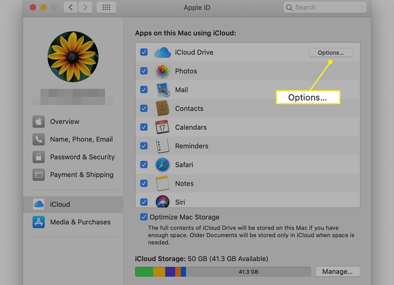 Předvolby iCloud se zvýrazněnými možnostmi iCloud Drive