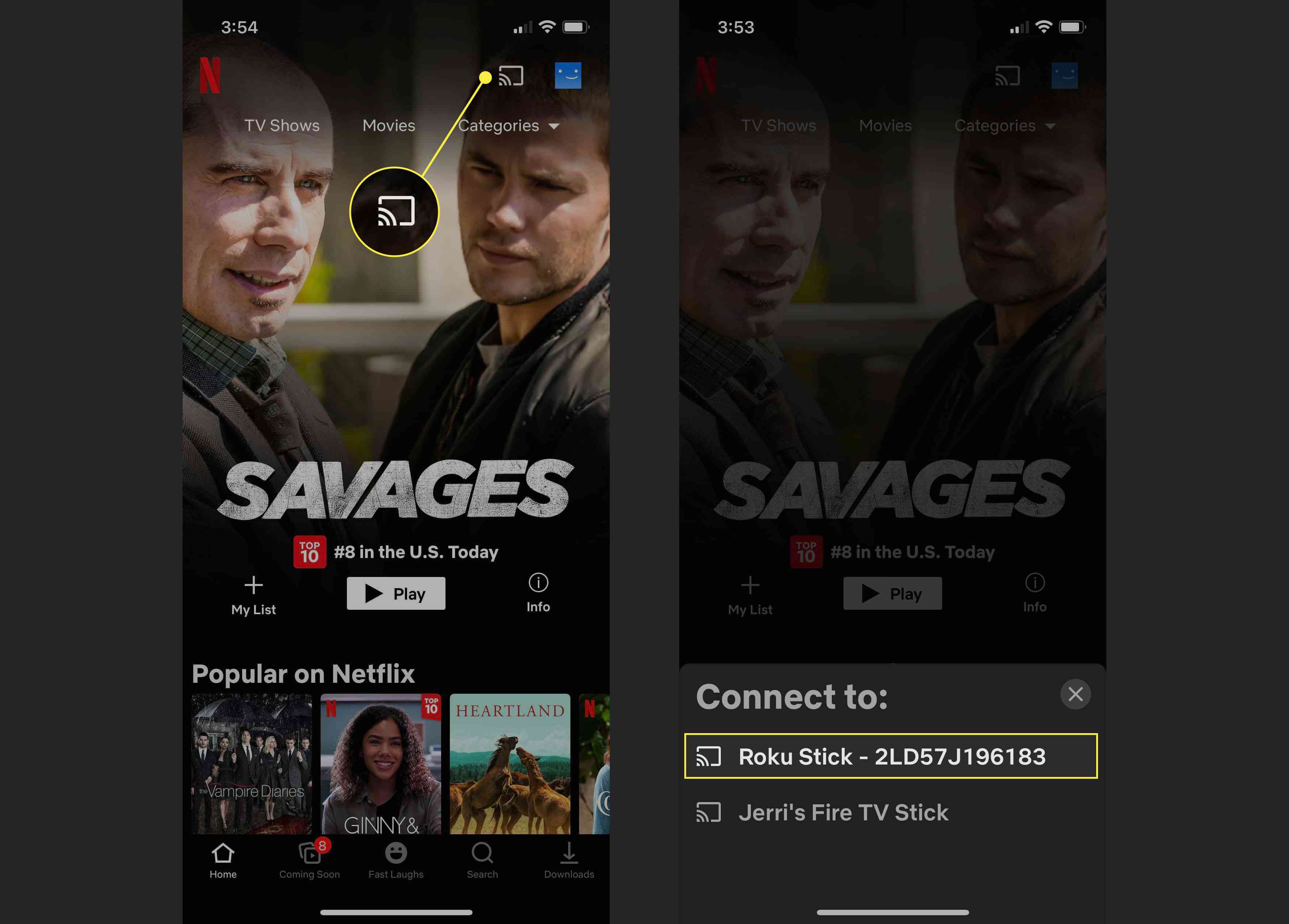 Odesílání Netflixu do zařízení Roku na iPhone.