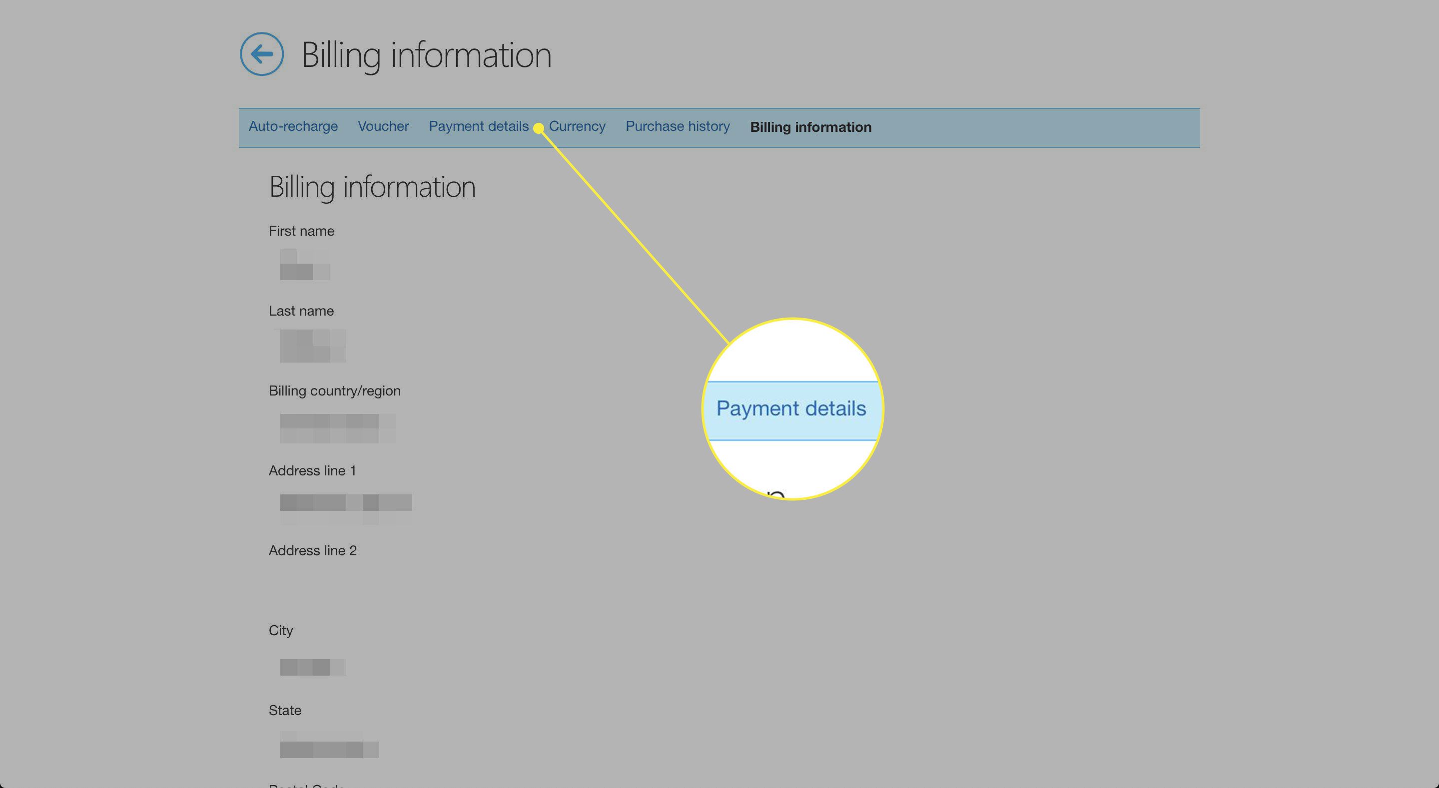 Snímek obrazovky s fakturačními informacemi Skype se zvýrazněným nadpisem Platební údaje