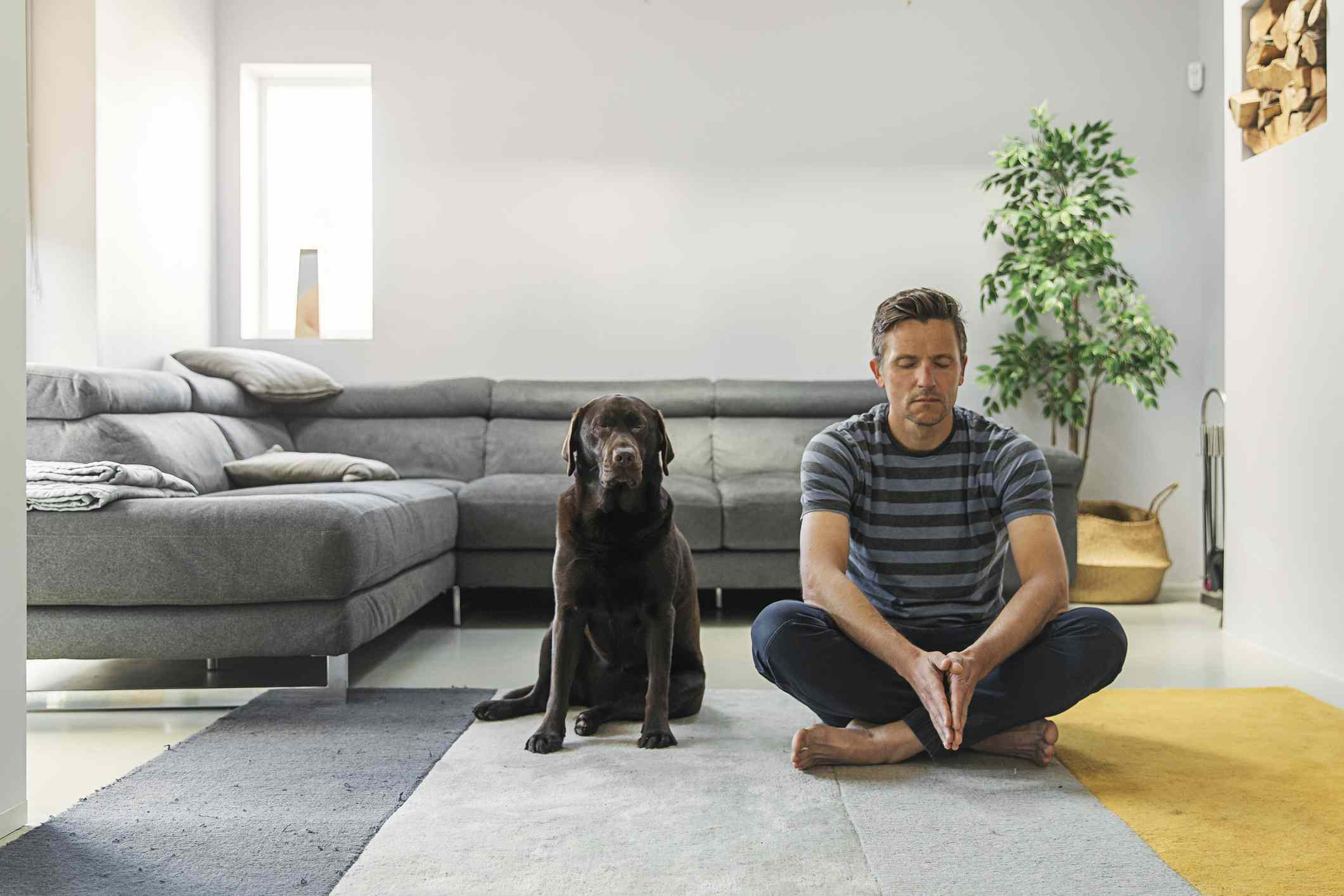 Osoba meditující ve svém obývacím pokoji se psem trpělivě sedí poblíž. 