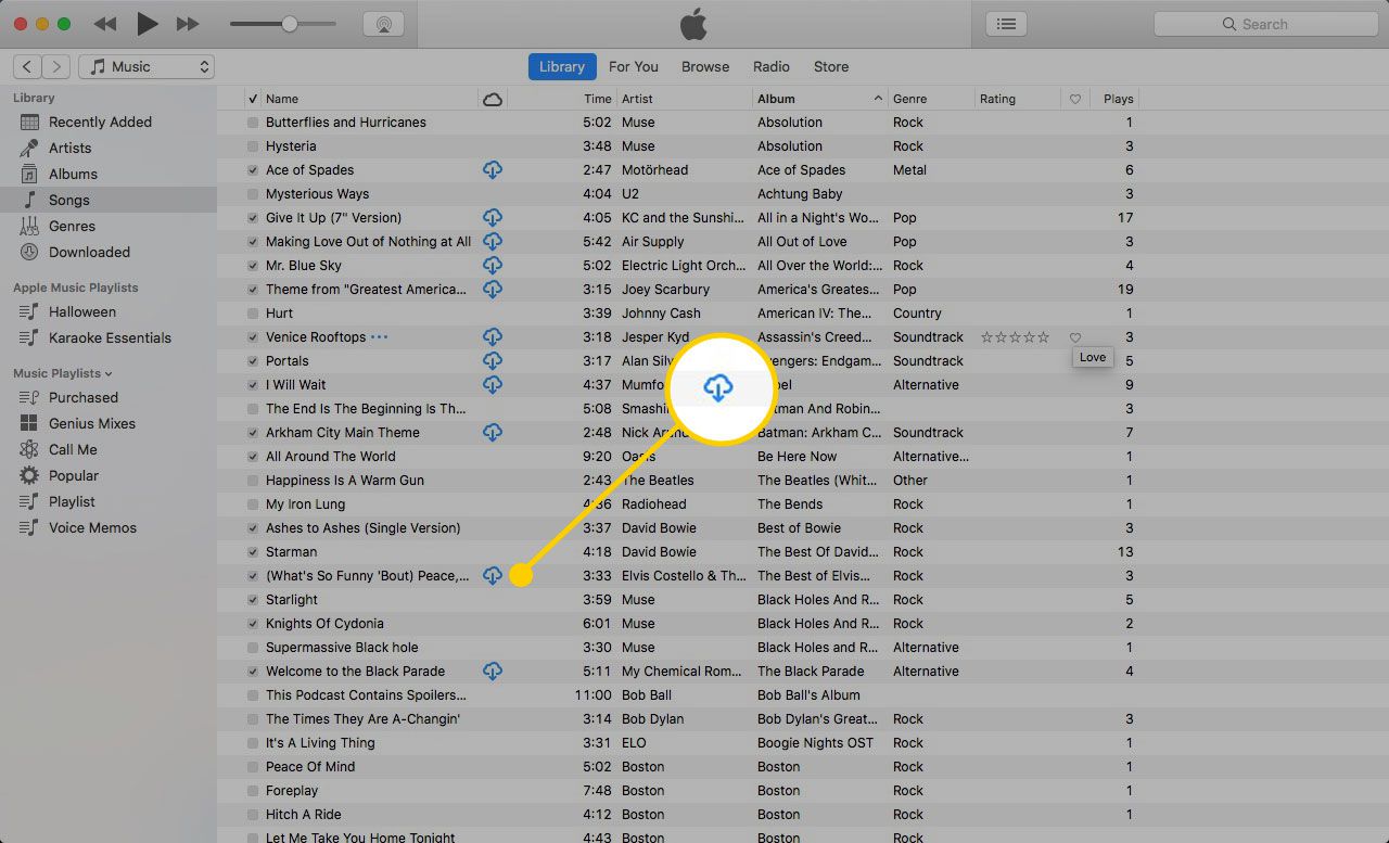 Knihovna iTunes se zvýrazněnou ikonou cloudu