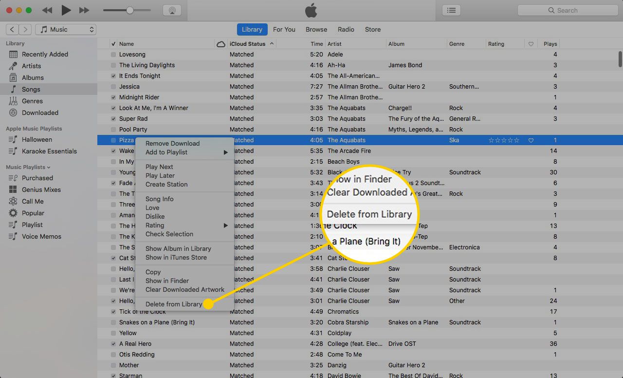 Nabídka skladeb v iTunes se zvýrazněným Delete from Library