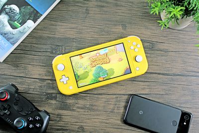 Animal Crossing hraní na Switch Lite.