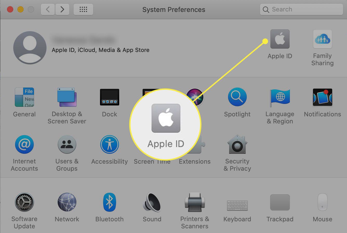 Předvolby systému v systému macOS se zvýrazněným Apple ID