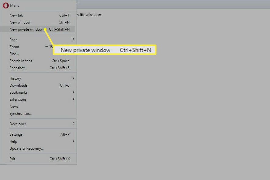 Nové soukromé okno v Opera pro Windows