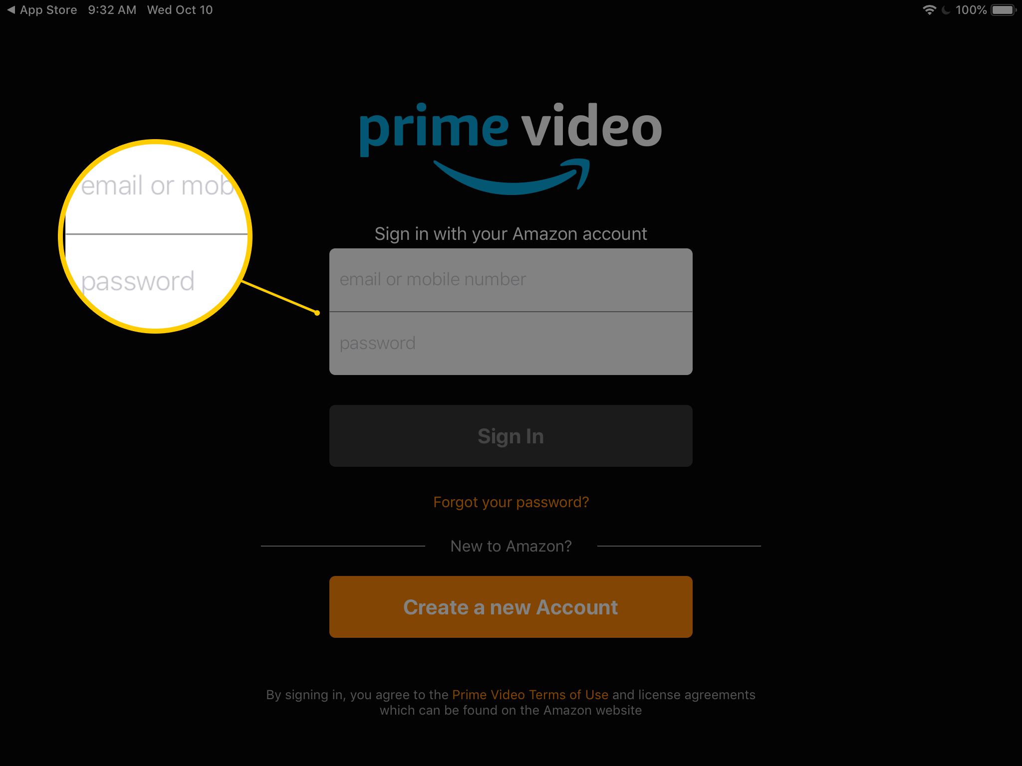 Snímek obrazovky s přihlašovacím formulářem pro Prime Video na iPadu, včetně polí pro e-mail a heslo