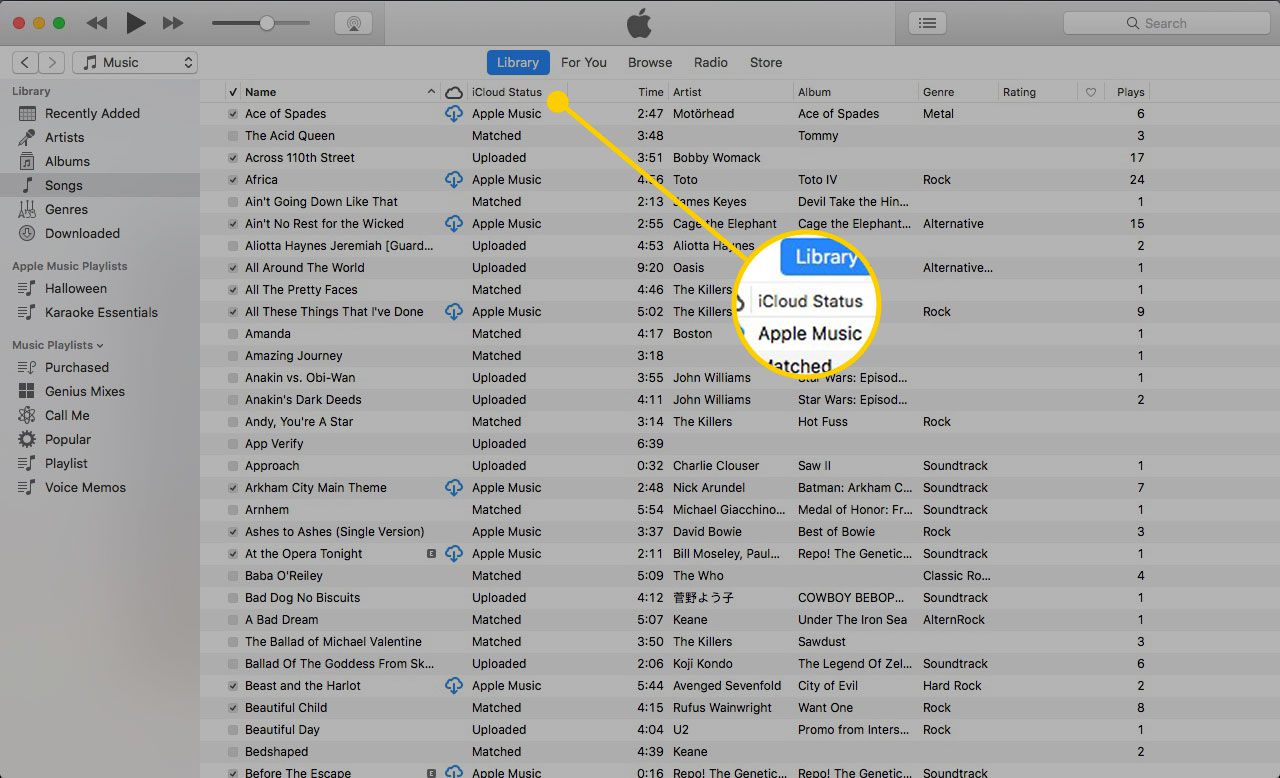 iTunes na Macu se zvýrazněnou hlavičkou iCloud Status