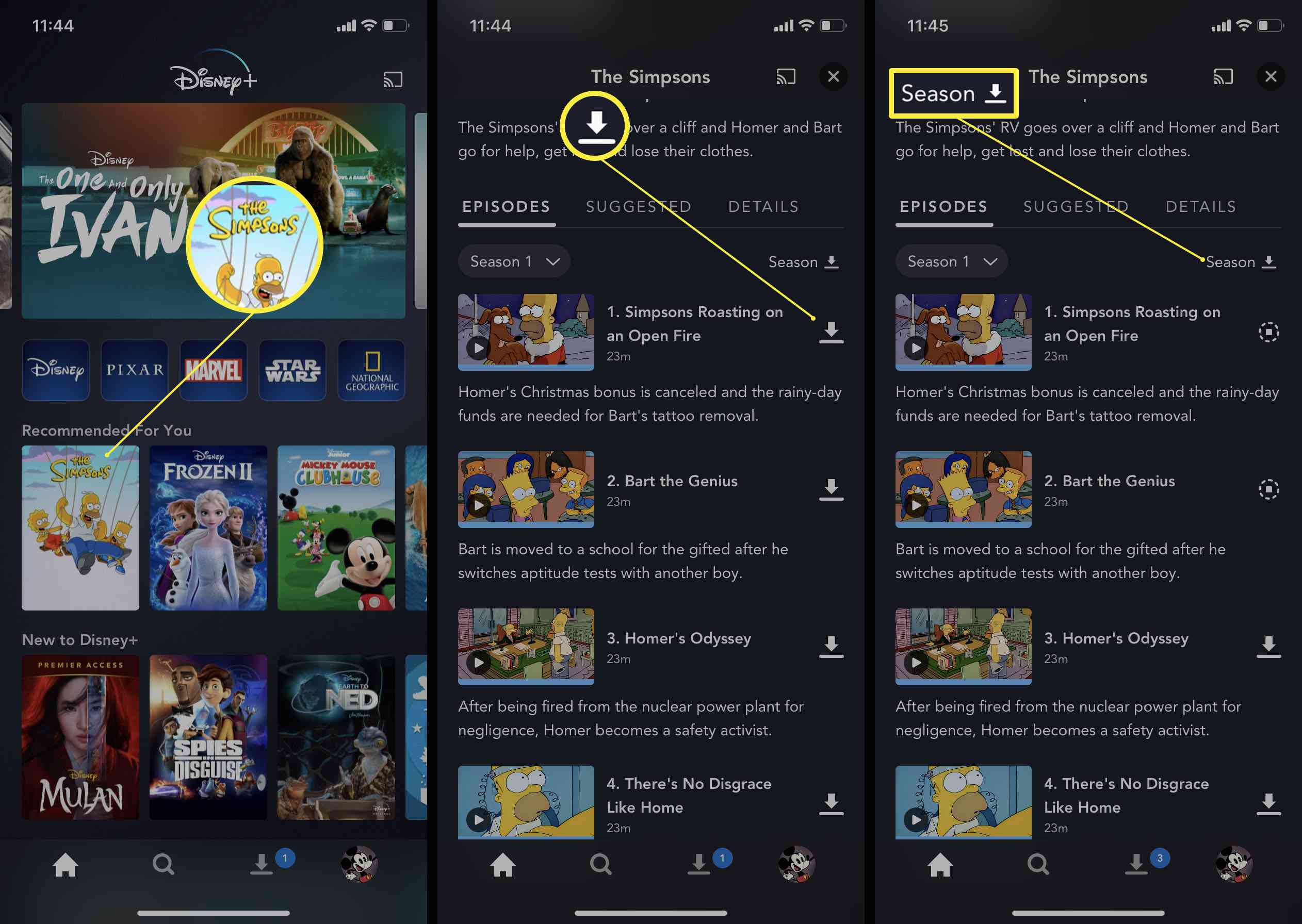 Kroky potřebné v aplikaci Disney Plus ke stažení epizod nebo ročních období televizního pořadu