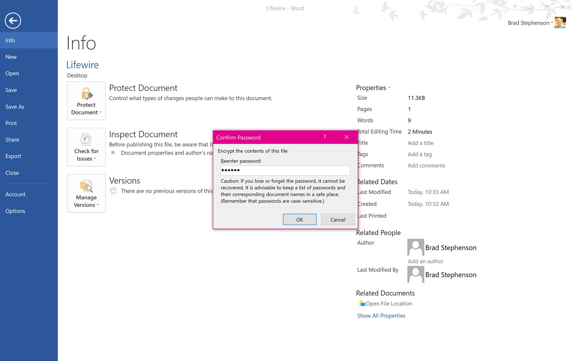 Ochrana hesla dokumentu Microsoft Word ve Windows 10.