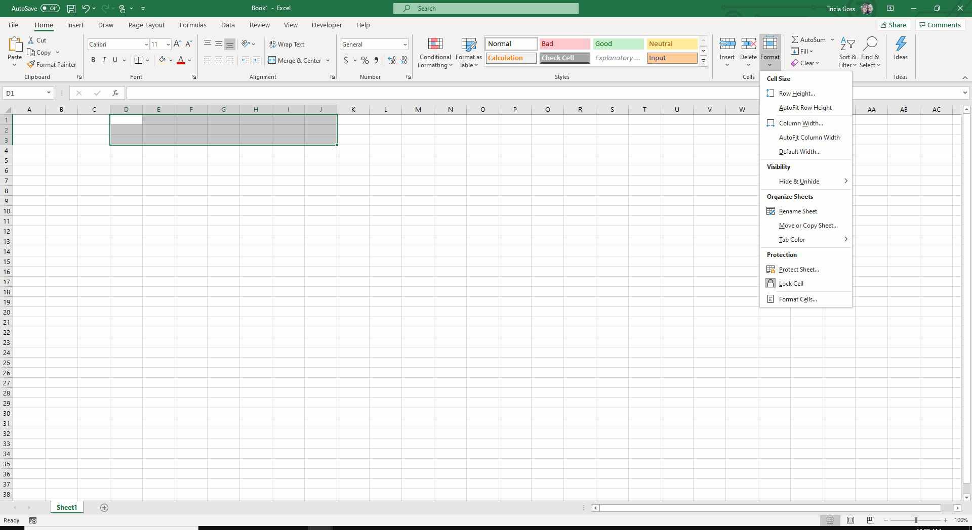 Screenshot formátu v aplikaci Excel