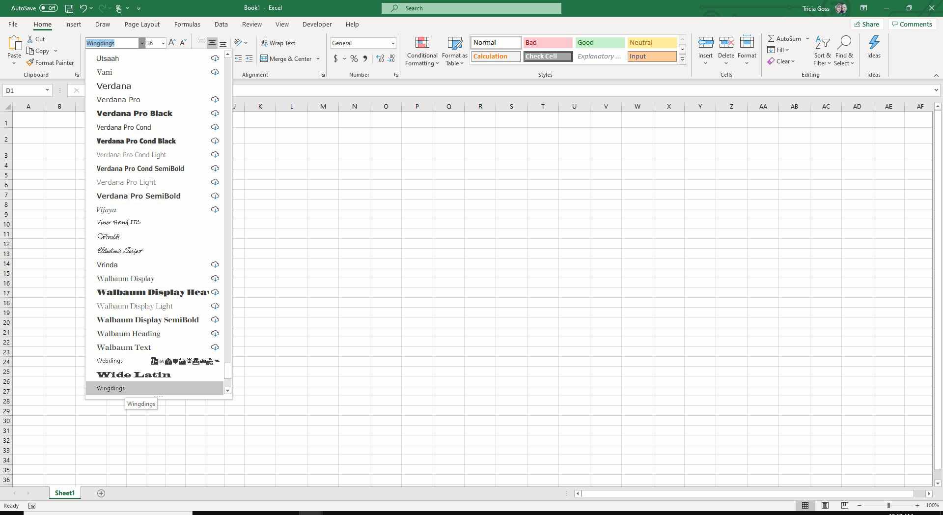 Screenshot z písem v aplikaci Excel