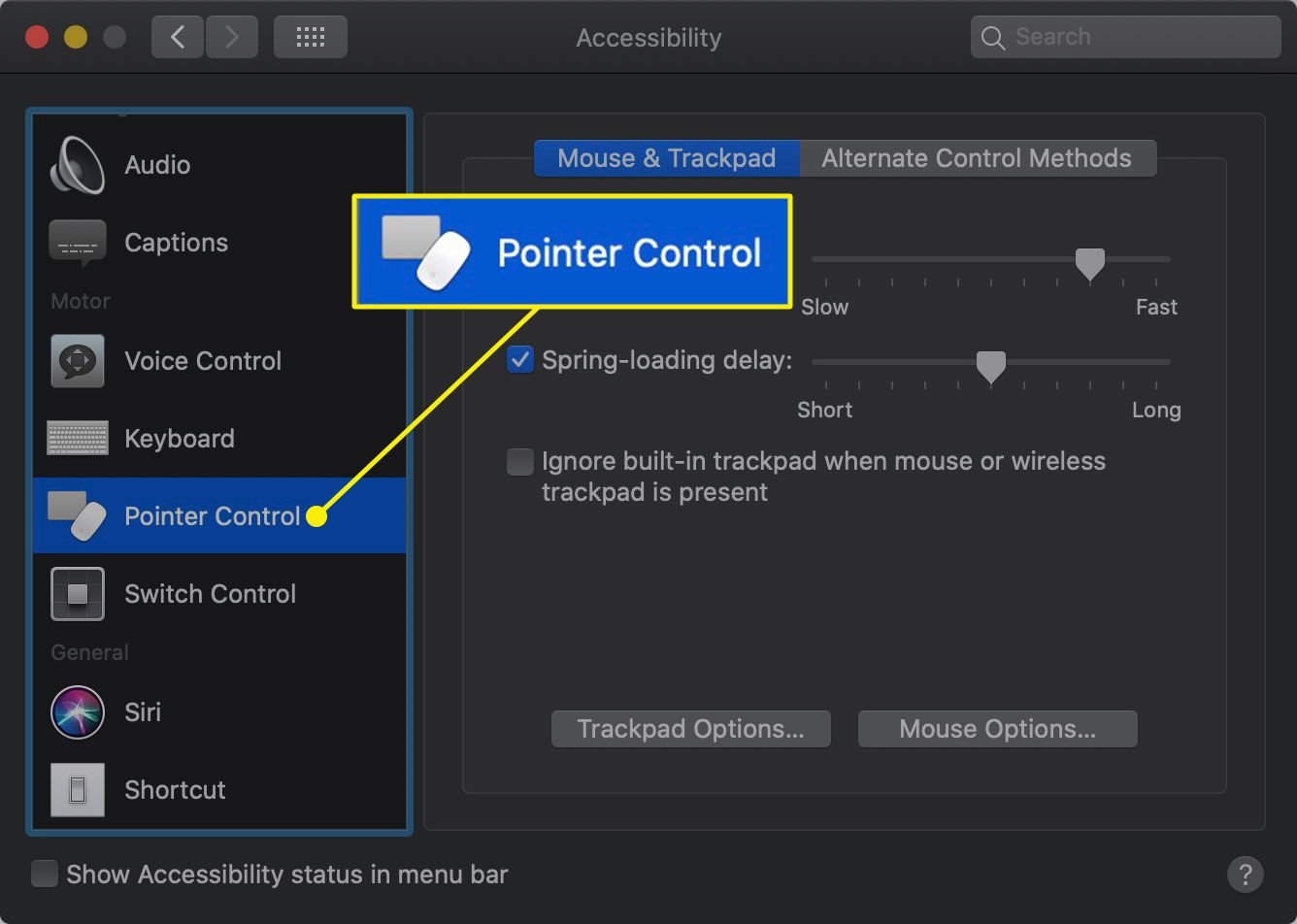 Ovládání ukazatele v nastavení usnadnění přístupu v systému macOS