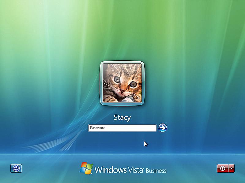 Screenshot obrazovky pro přihlášení do nouzového režimu systému Windows Vista