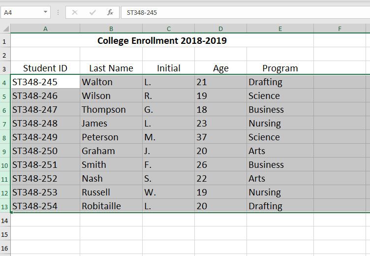 Řádky na snímku obrazovky databáze Excel