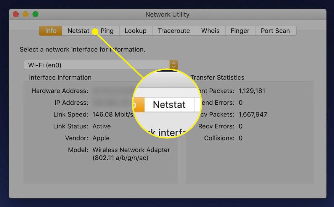 Karta Netstat v programu Network Utility