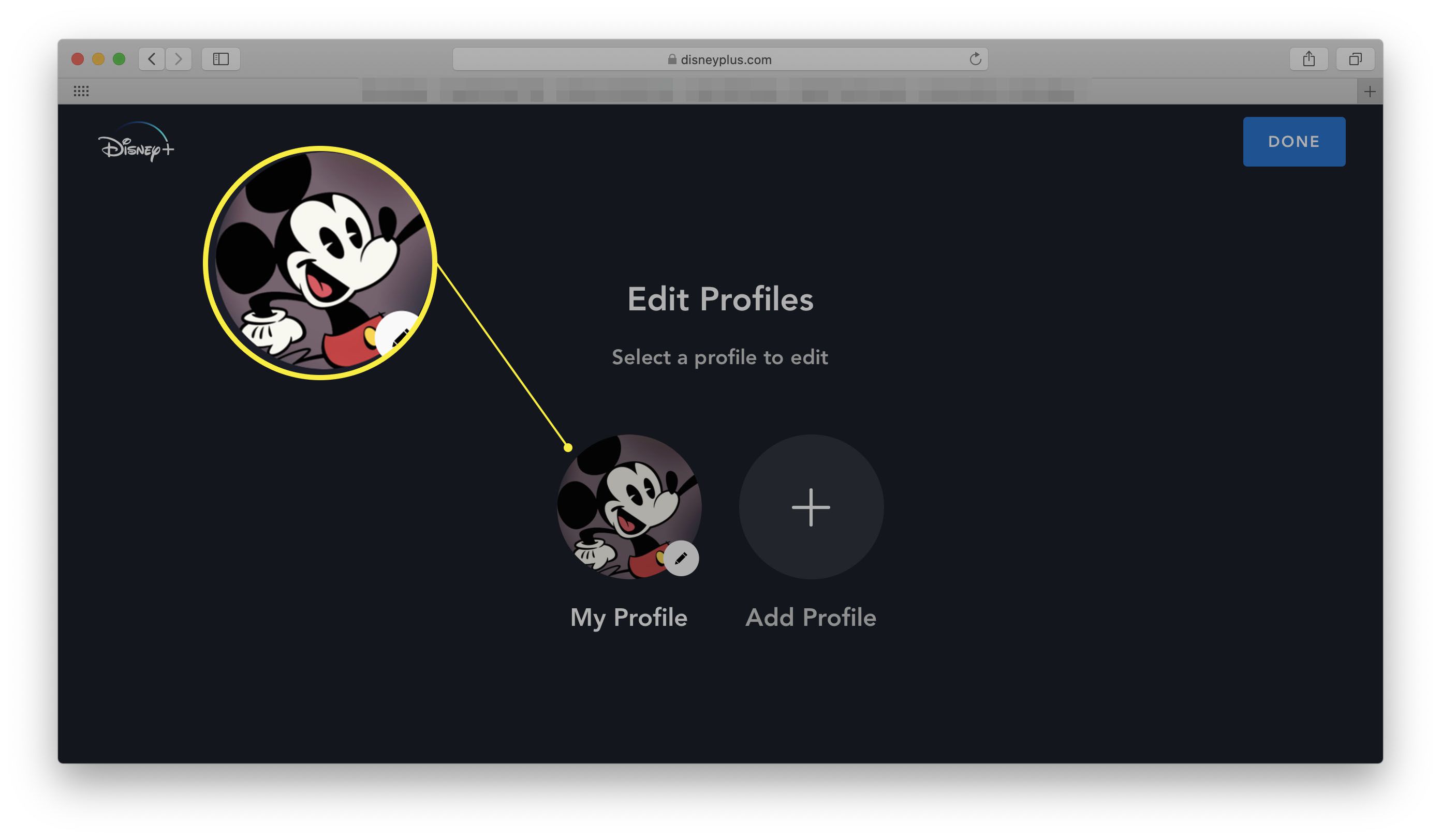 Web Disney + s otevřenými profily úprav