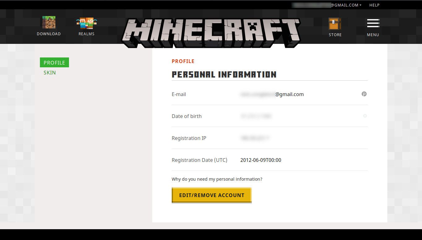 Minecraft profil