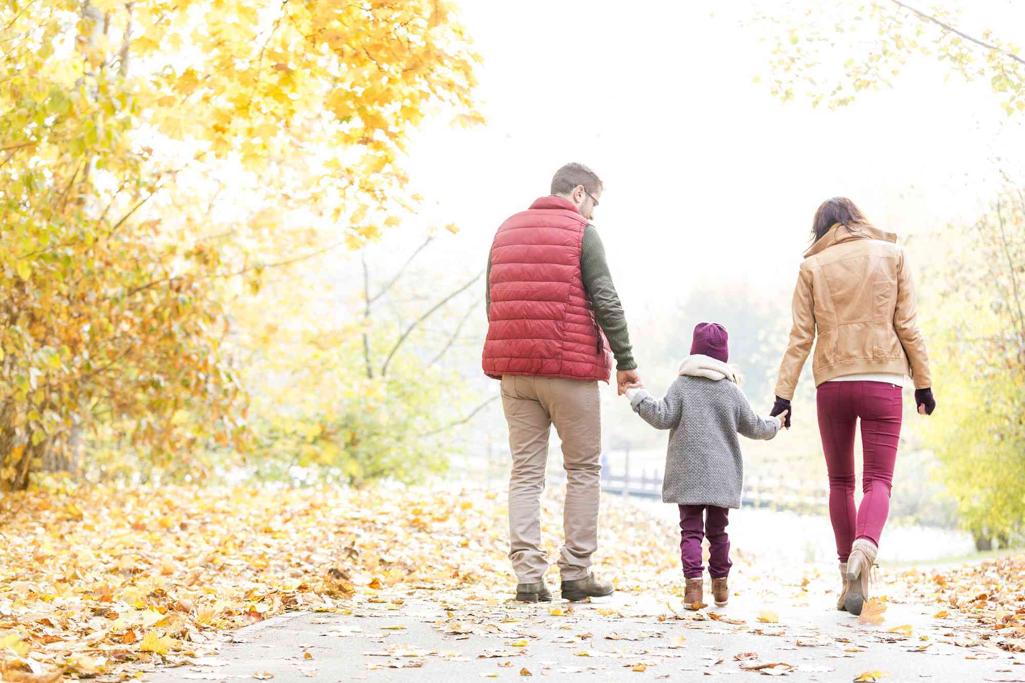 Rodina, drželi se za ruce a procházky v podzimním parku
